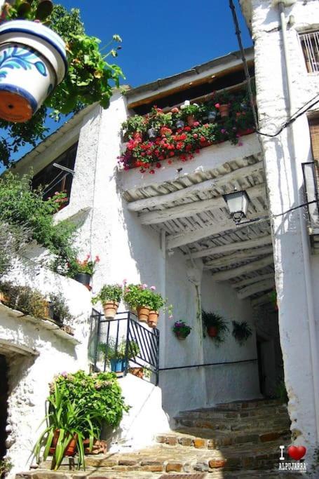La Casa Rural De Paco Y Ana Pitres Exterior photo